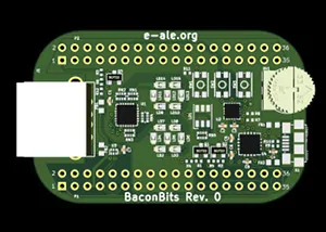 Pocket Beagle and Breadboard